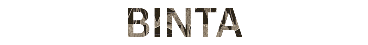 3.1